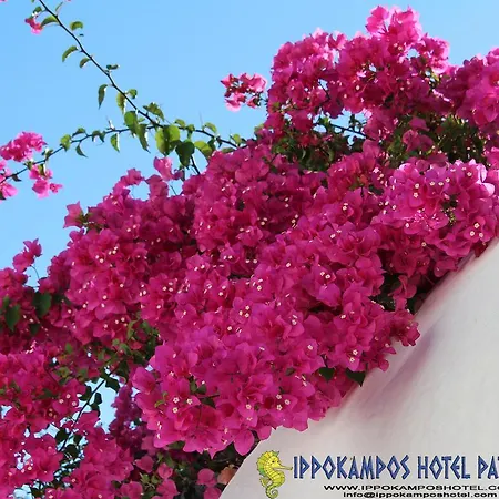 Ippokampos Hotel